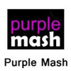 Purple mash logo